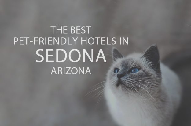 11 Best Pet-Friendly Hotels in Sedona AZ