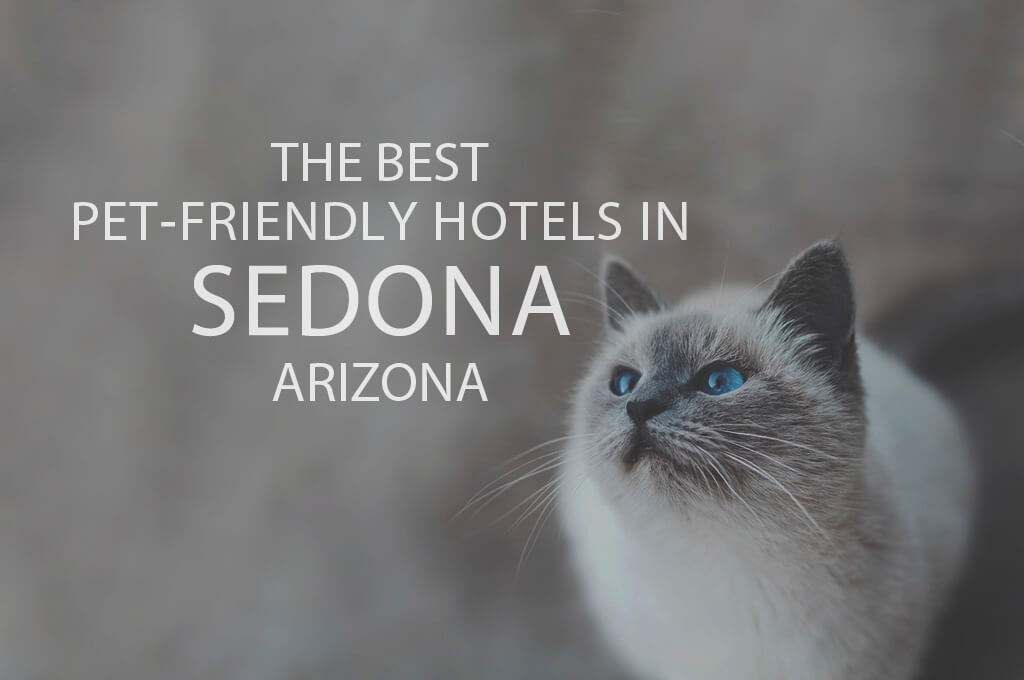 11 Best Pet-Friendly Hotels in Sedona AZ