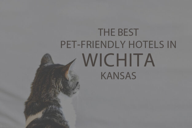 11 Best Pet-Friendly Hotels in Wichita, KS