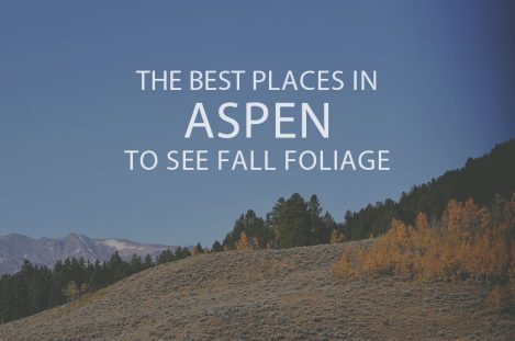 Best Places in Aspen to see Fall Foliage