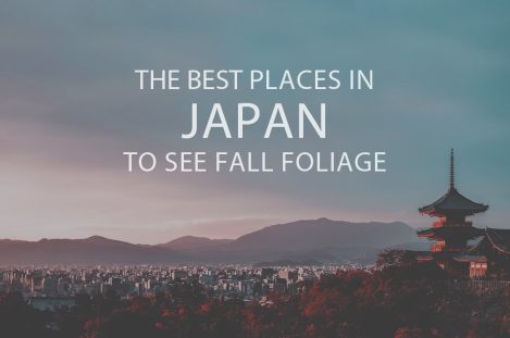 Best Places in Japan to see Fall Foliage