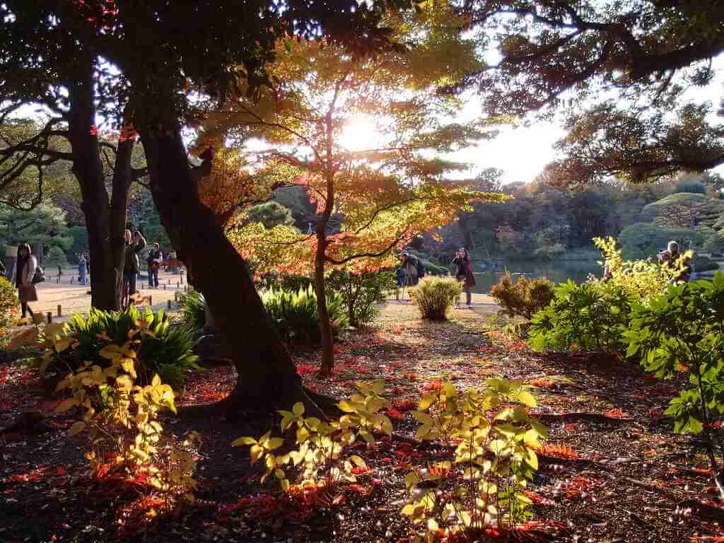 Rikugien Garden, Tokyo - by Guilhem Vellut, Flickr