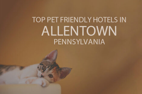 Top 11 Pet Friendly Hotels in Allentown, Pennsylvania