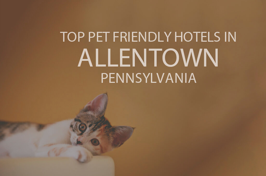 Top 11 Pet Friendly Hotels in Allentown, Pennsylvania