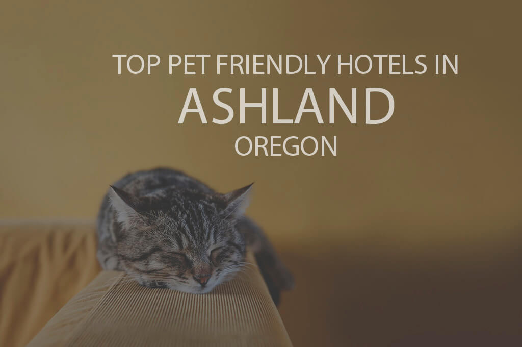 Top 11 Pet Friendly Hotels in Ashland OR