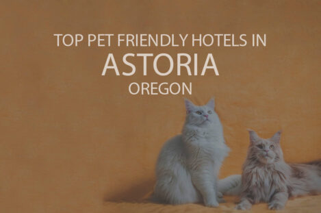 Top 11 Pet Friendly Hotels in Astoria OR