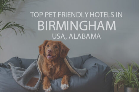 Top 11 Pet Friendly Hotels in Birmingham AL