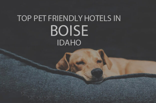 Top 11 Pet Friendly Hotels in Boise