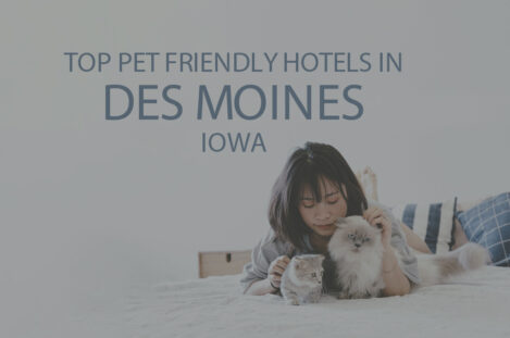 Top 11 Pet Friendly Hotels in Des Moines, Iowa