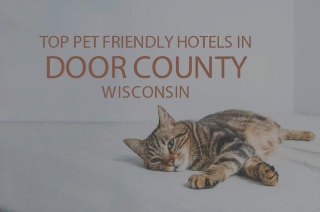 Top 11 Pet Friendly Hotels in Door County WI