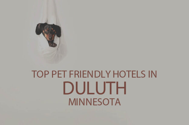 Top 11 Pet Friendly Hotels in Duluth, Minnesota