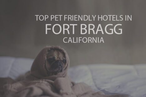 Top 11 Pet Friendly Hotels in Fort Bragg, California