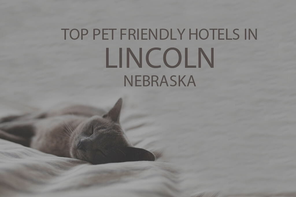 Top 11 Pet Friendly Hotels in Lincoln NE