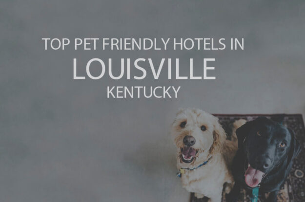 Top 11 Pet Friendly Hotels in Louisville KY