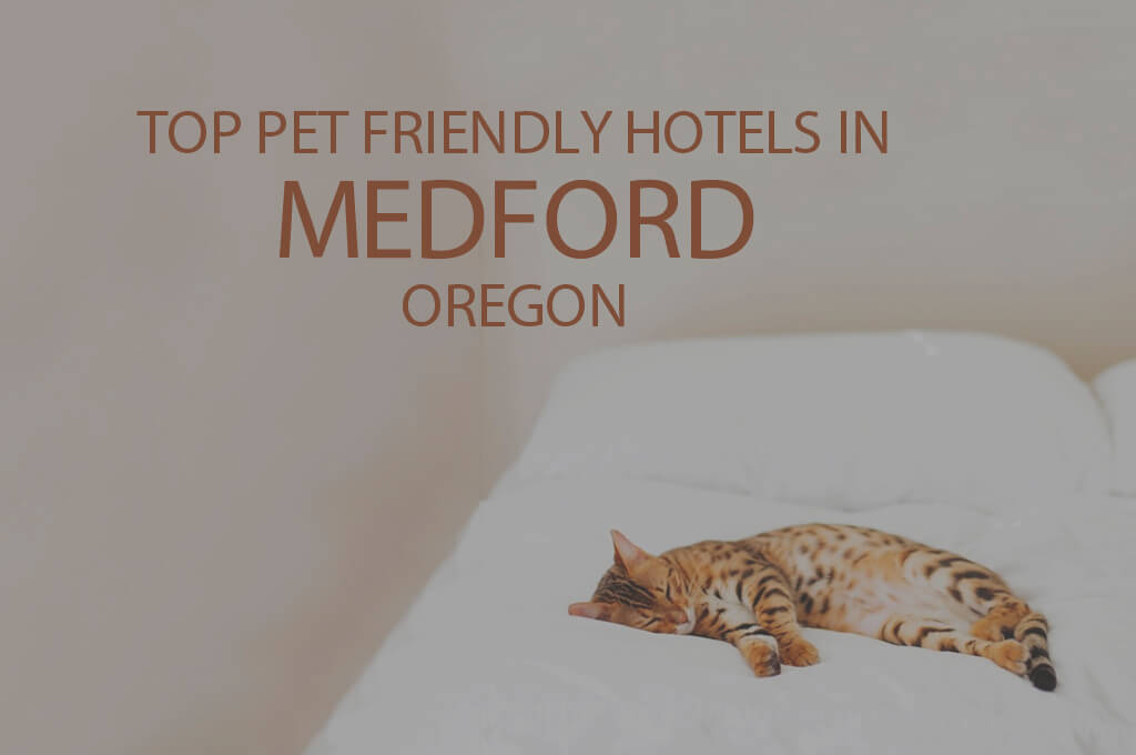 Top 11 Pet Friendly Hotels in Medford OR