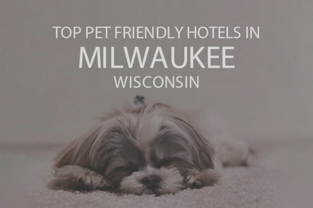 Top 11 Pet Friendly Hotels in Milwaukee