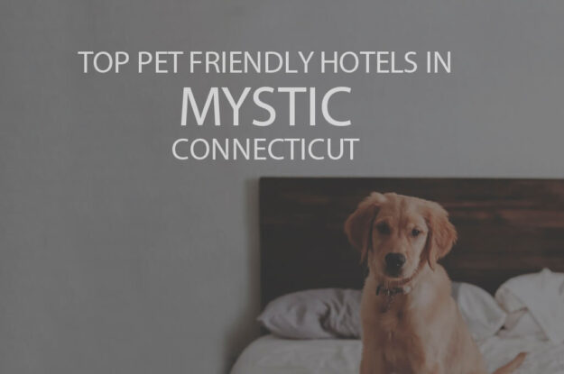 Top 11 Pet Friendly Hotels in Mystic CT