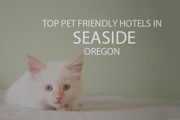 Top 11 Pet Friendly Hotels in Seaside OR