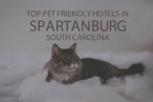 Top 11 Pet Friendly Hotels in Spartanburg, South Carolina