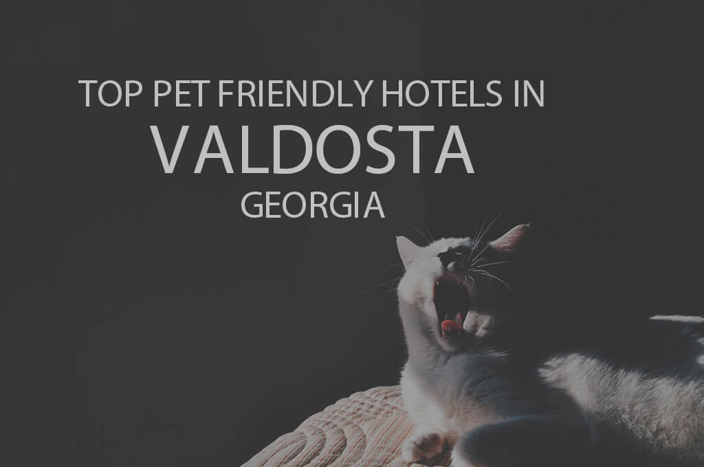 Top 11 Pet Friendly Hotels in Valdosta