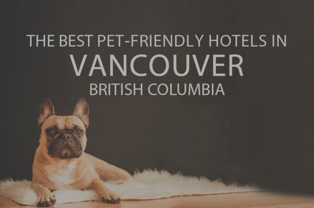 11 Best Pet-Friendly Hotels in Vancouver BC