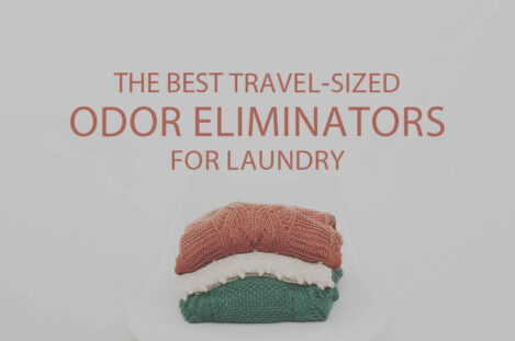 13 Best Travel-Sized Odor Eliminators for Laundry