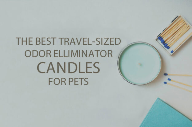 13 Best Travel-Sized Odor Elliminator Candles for Pets