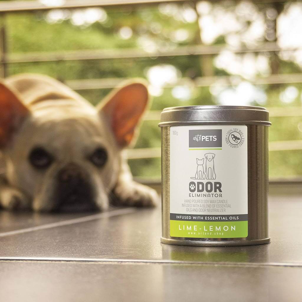 Art & Pets Odor Eliminator - by Amazon