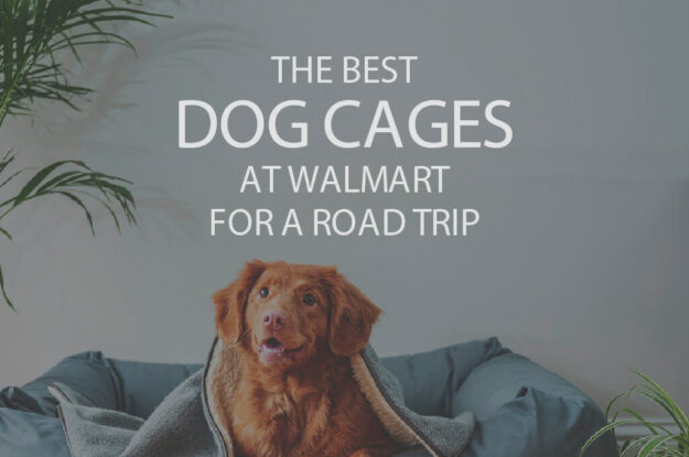 13 Best Dog Cages at Walmart for a Road Trip