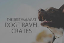 13 Best Walmart Dog Travel Crates