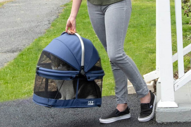 6 Best Chewy Cat Carriers for Travel