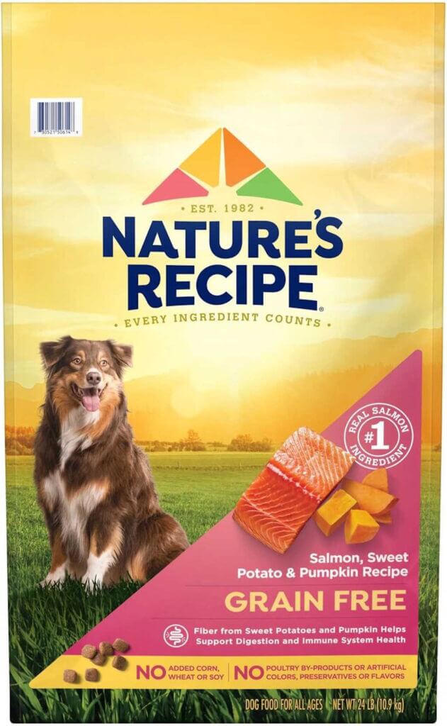 Nature's Recipe Grain-Free Dry Dog Food - by Chewy