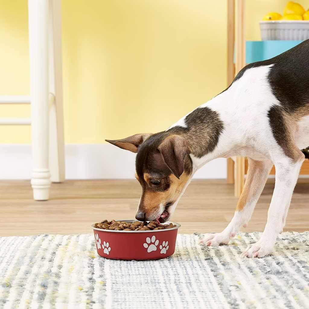 Loving Pets Bella Non-Skid Stainless Steel Dog Bowl - by Chewy