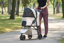 The Best Chewy Dog Strollers