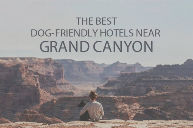Top 11 Dog-Friendly Hotels Near the Grand Canyon