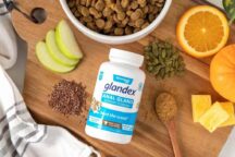 Travel-Sized Supplements for Dogs on Chewy