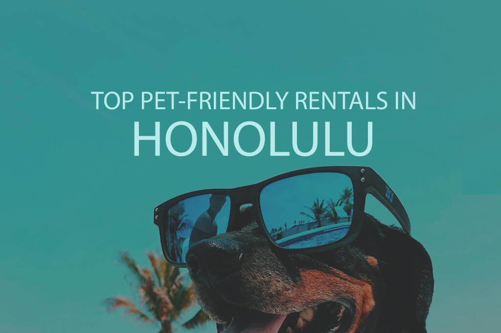 11 Top Pet Friendly Rentals in Honolulu