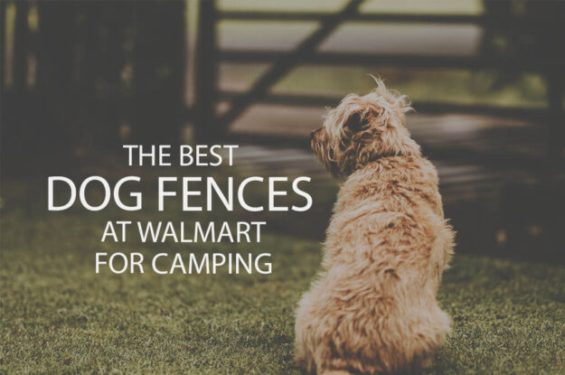 13 Best Dog Fences at Walmart for Camping