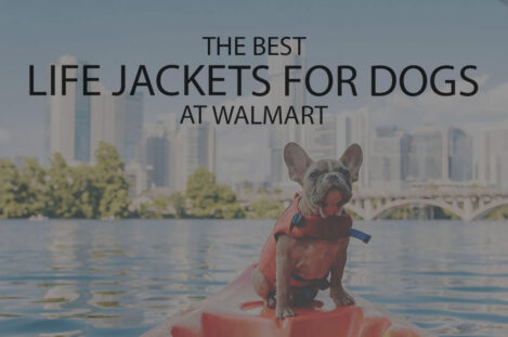 13 Best Life Jackets for Dogs at Walmart