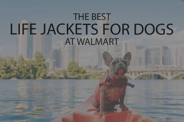 13 Best Life Jackets for Dogs at Walmart