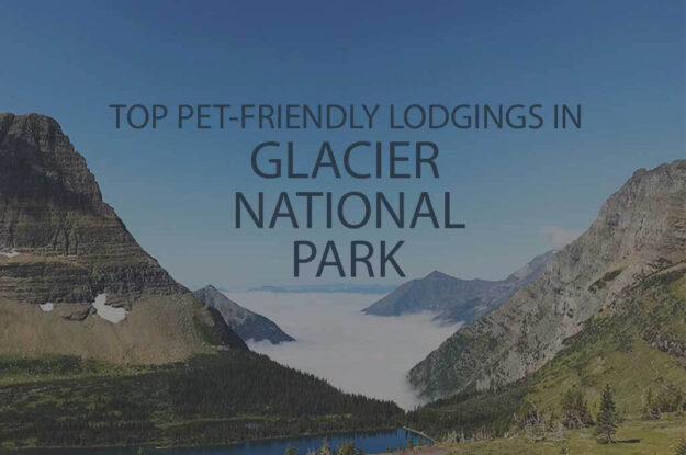 Top 11 Pet-Friendly Lodgings in Glacier National Park