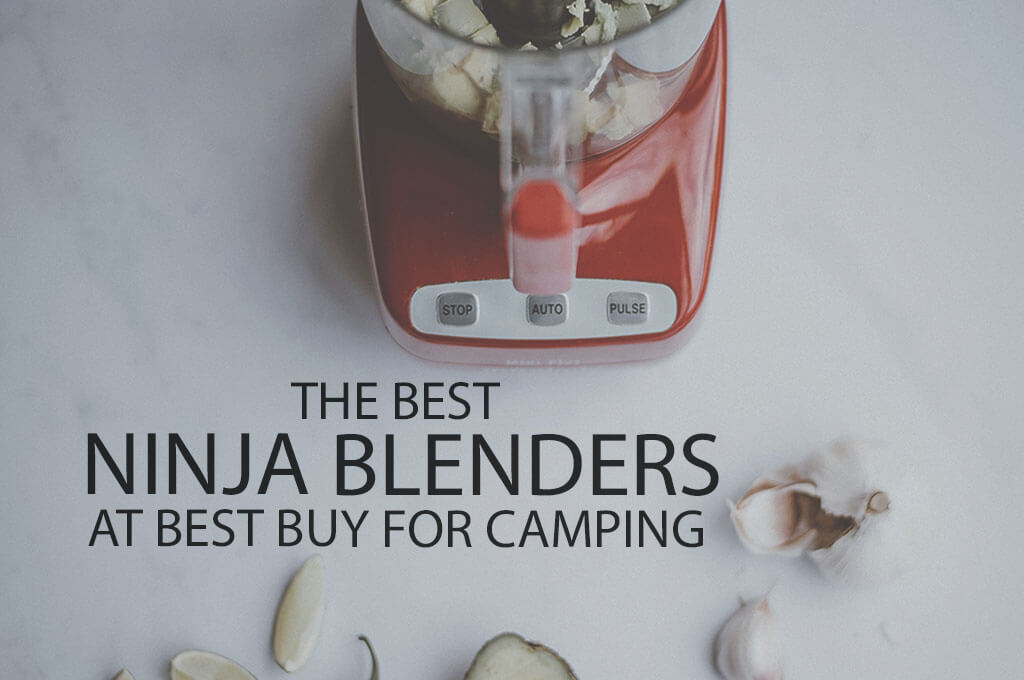 13 Best Ninja Blenders at Best Buy for Camping