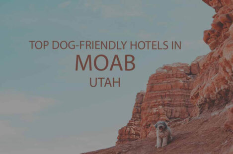 Top 11 Dog Friendly Hotels in Moab UT