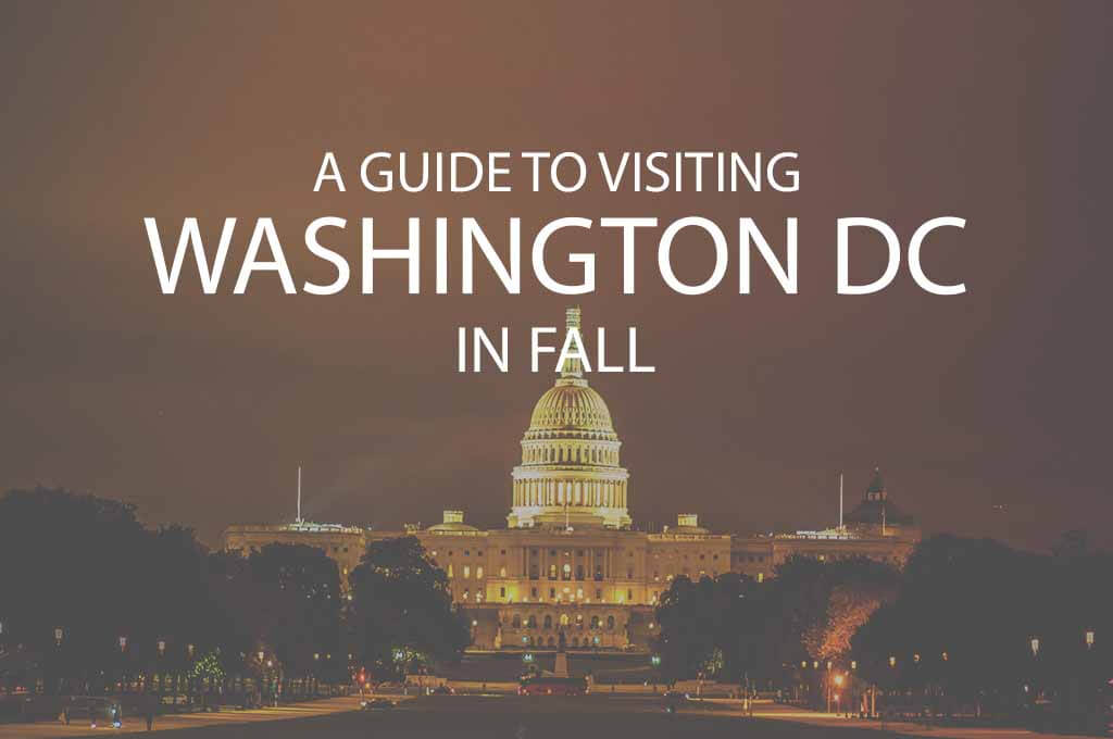 A Guide to Visiting Washington DC in Fall