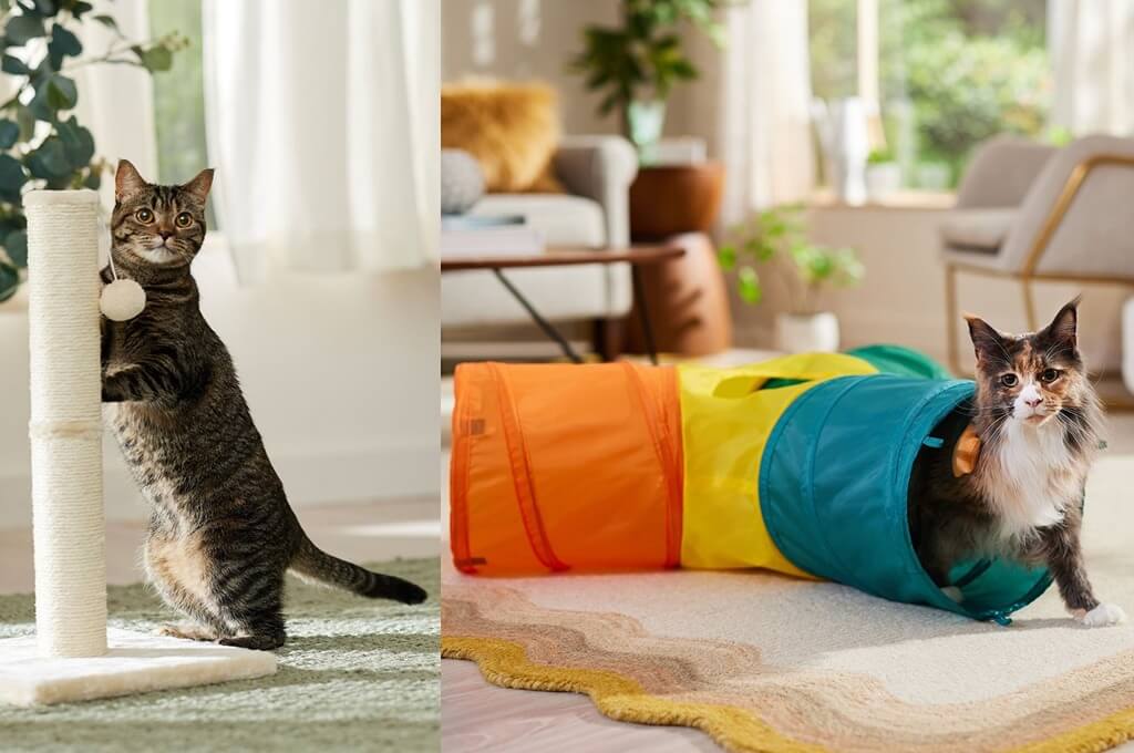 6 Best Cat Toys on Chewy for Travel