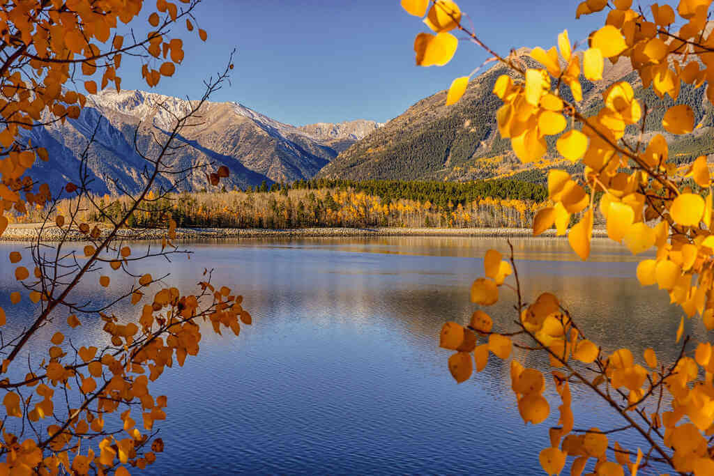 Autumn in Colorado - by Michael Levine-Clark, Flickr