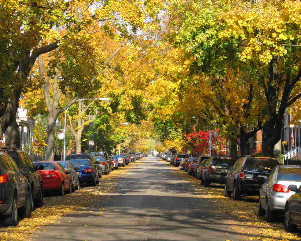 Fall in Chicago - by JohnPickenPhoto, Flickr