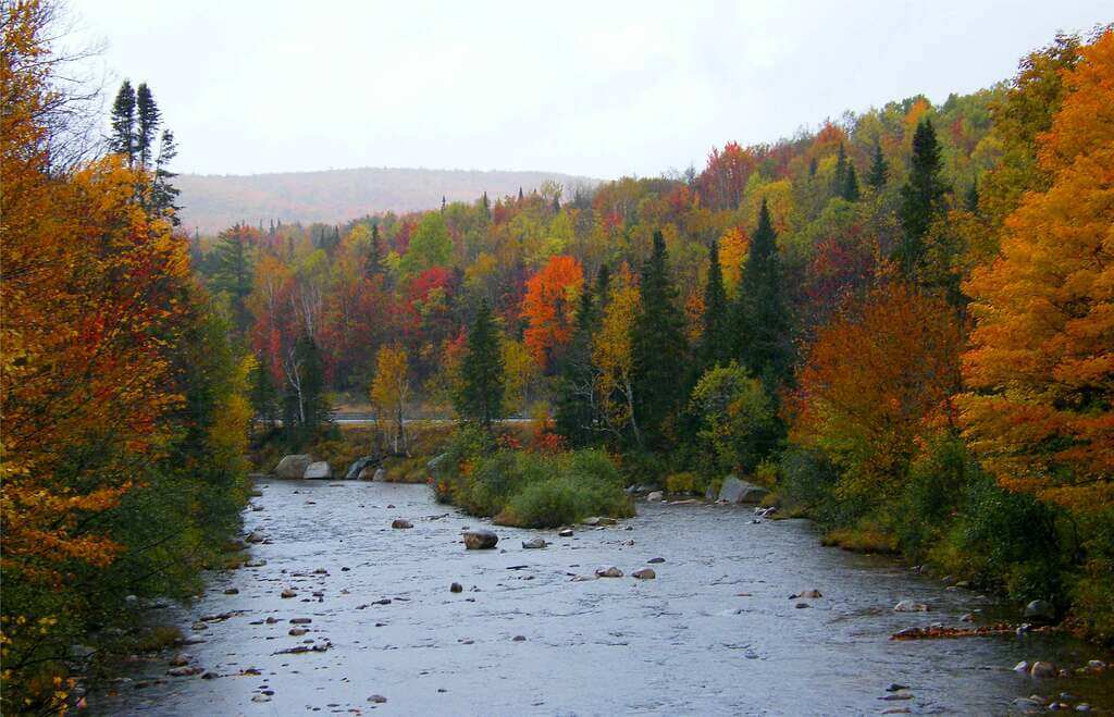 New Hampshire Autumn - by Stanley Zimny, Flickr