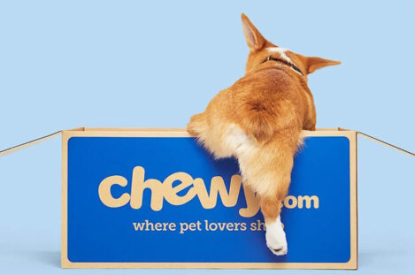 Traveler's Guide: How to Get Free Shipping on Chewy