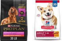 6 Best Dry Dog Food on Chewy for Travel